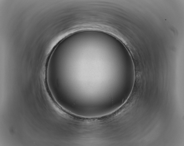 X0000113961523200909251349