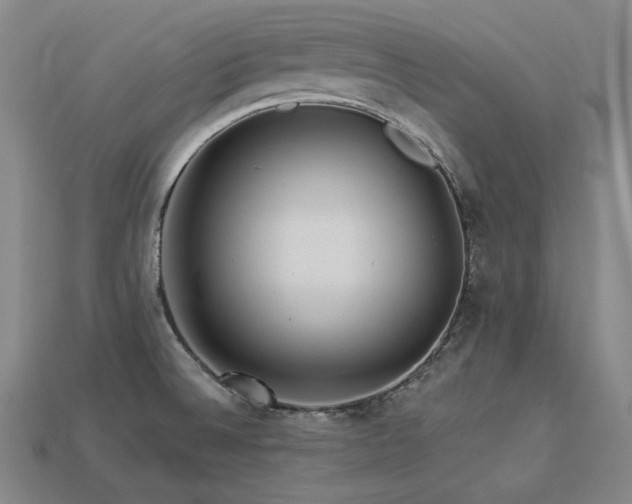 X0000113961524200909251349