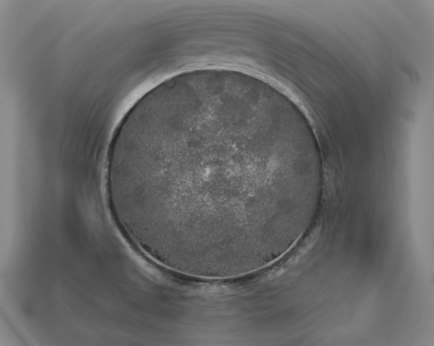 X0000113961525200909251349