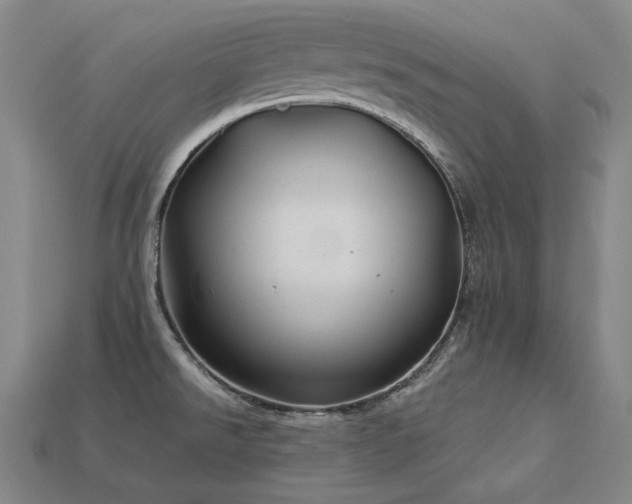 X0000113961526200909251349