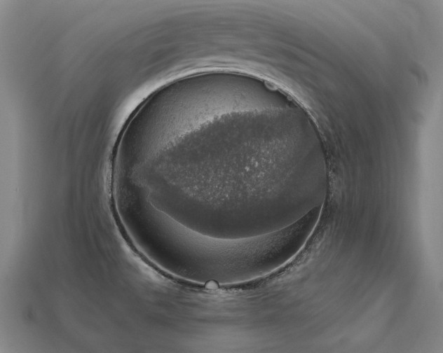 X0000113961527200909251349