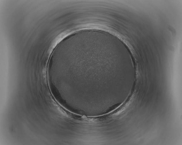 X0000113961529200909251349