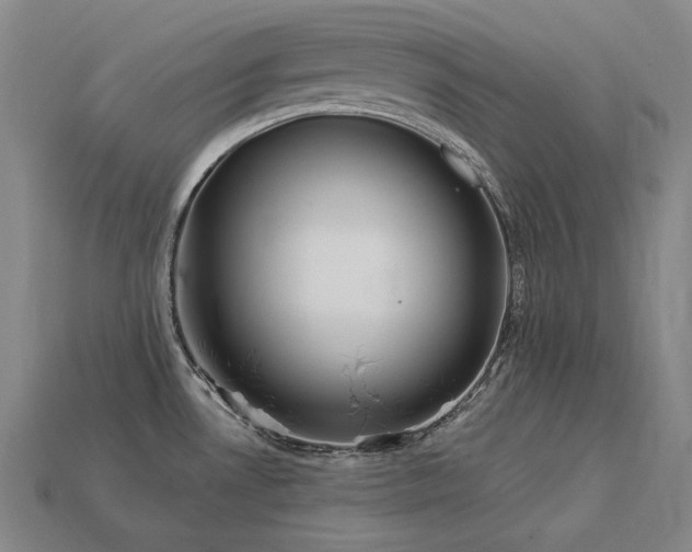 X0000113961530200909251349