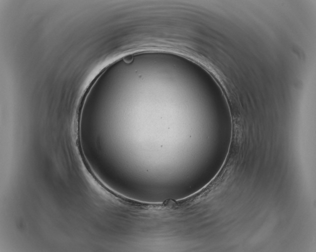 X0000113961531200909251349