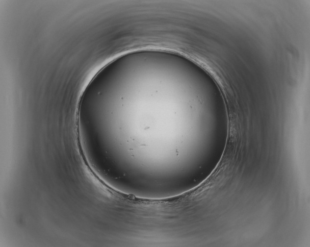 X0000113961532200909251349