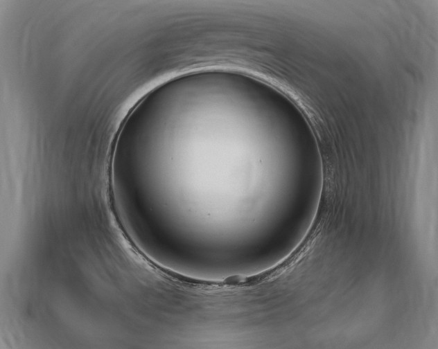 X0000113961534200909251349