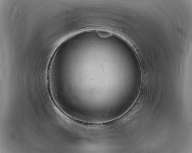 X0000113961535200909251349