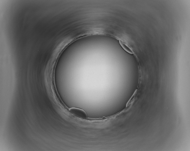 X0000113960001200910021535