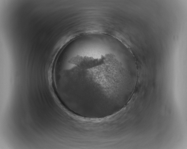 X0000113960002200910021535