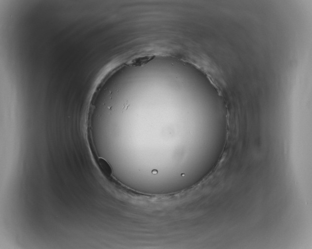 X0000113960003200910021535