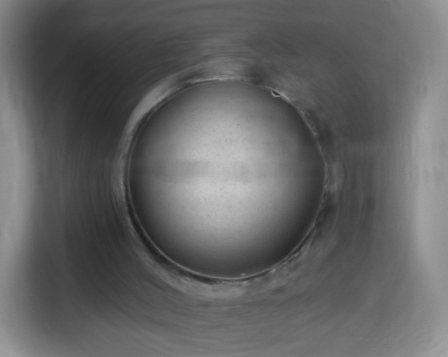 X0000113960004200910021535