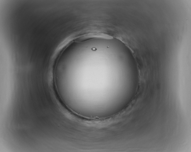 X0000113960005200910021535