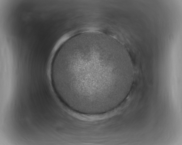 X0000113960006200910021535