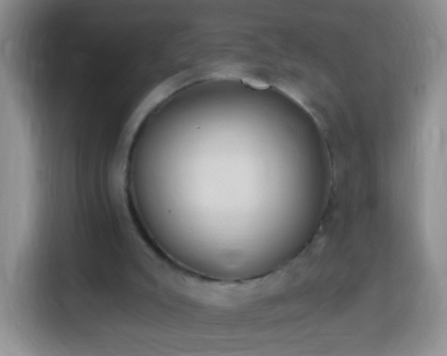 X0000113960007200910021535