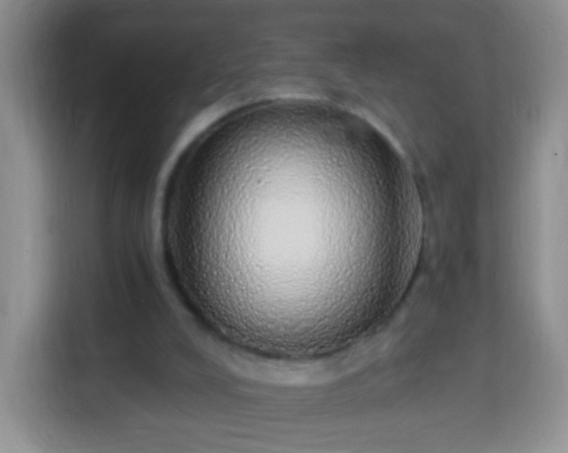 X0000113960008200910021535