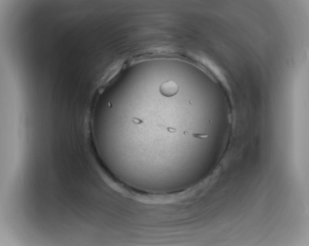 X0000113960009200910021535