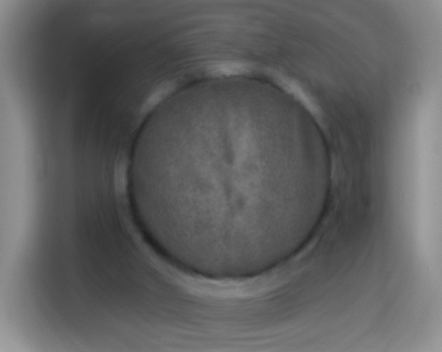 X0000113960010200910021535