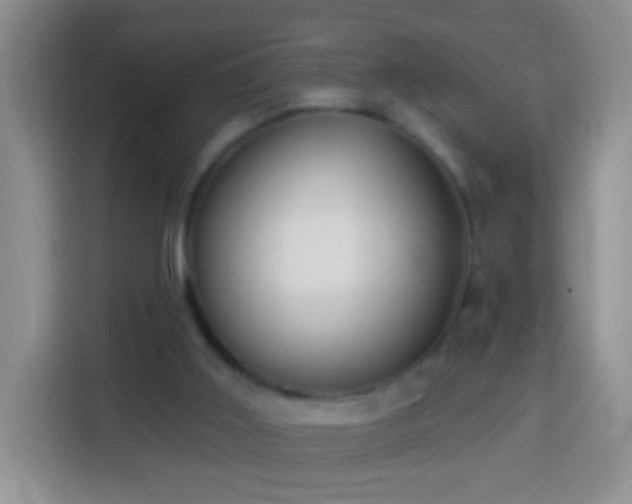 X0000113960011200910021535