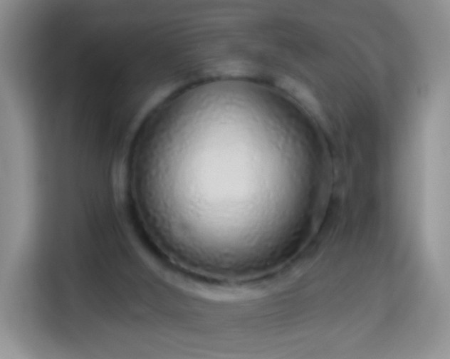 X0000113960012200910021535