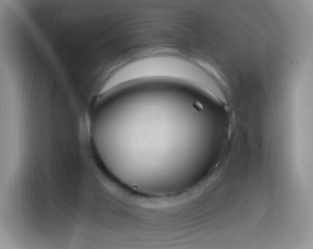 X0000113960013200910021535