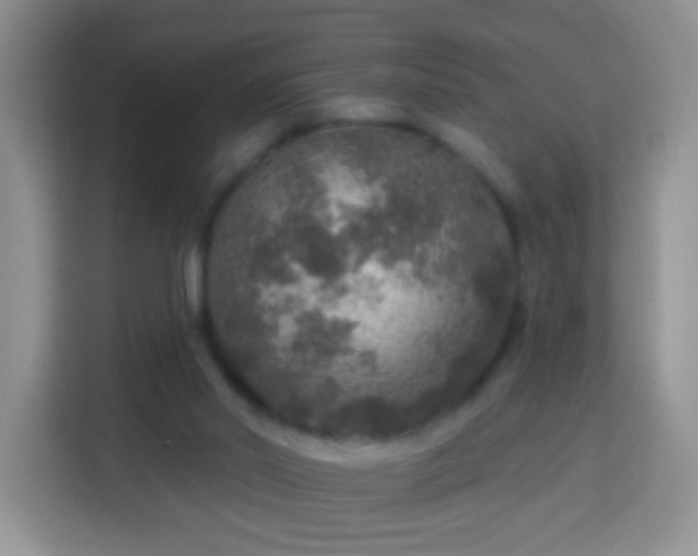 X0000113960014200910021535