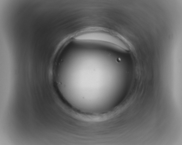 X0000113960015200910021535