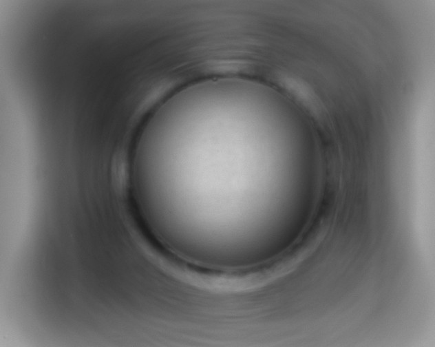 X0000113960016200910021535