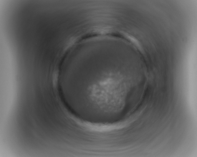 X0000113960018200910021535