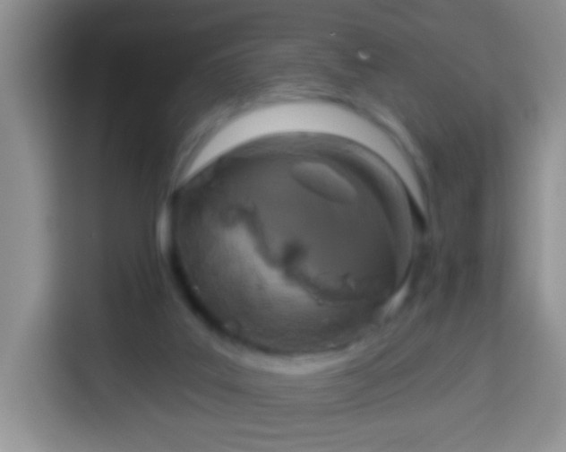 X0000113960019200910021535