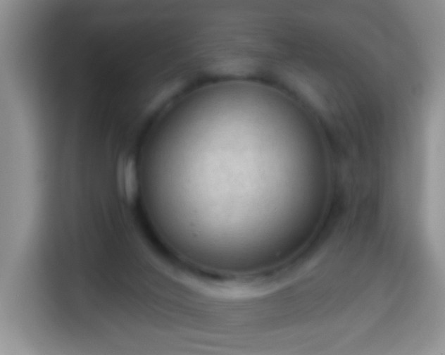 X0000113960020200910021535