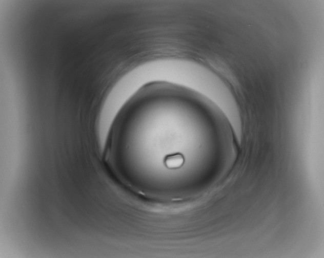 X0000113960021200910021535