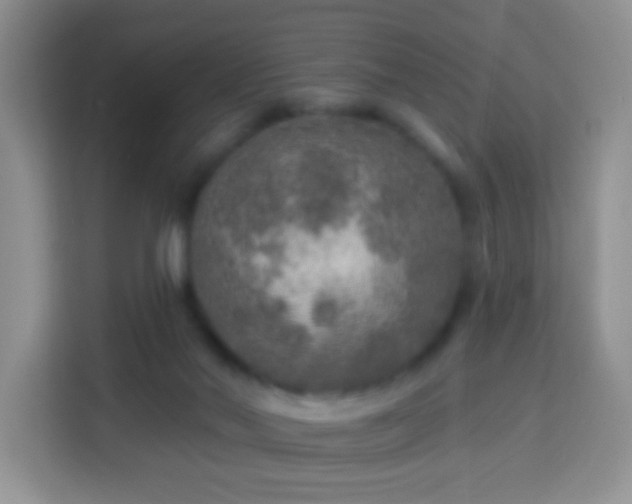 X0000113960022200910021535