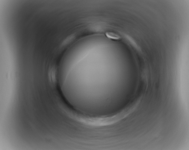 X0000113960023200910021535