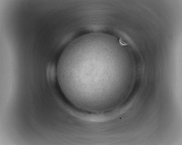 X0000113960024200910021535