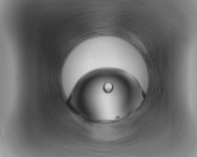 X0000113960025200910021535