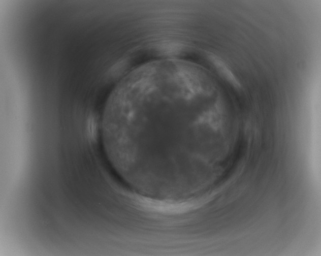 X0000113960026200910021535