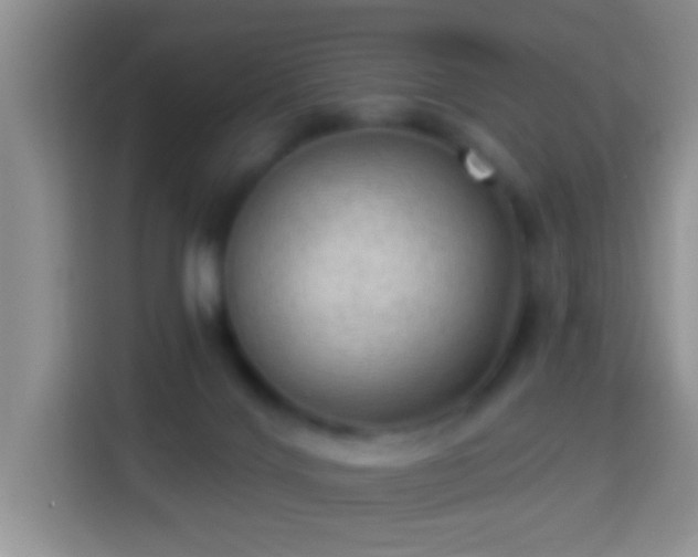 X0000113960028200910021535