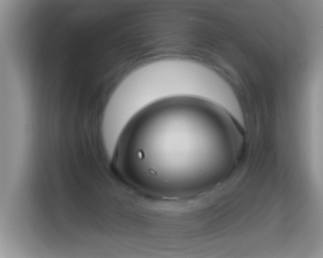 X0000113960029200910021535