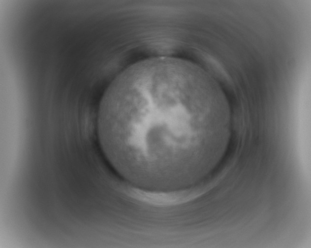 X0000113960030200910021535