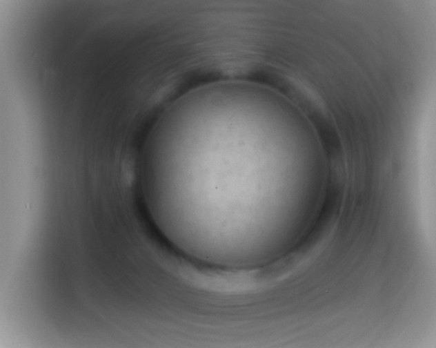 X0000113960032200910021535