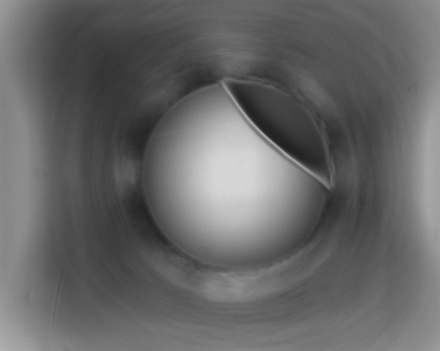 X0000113960033200910021534