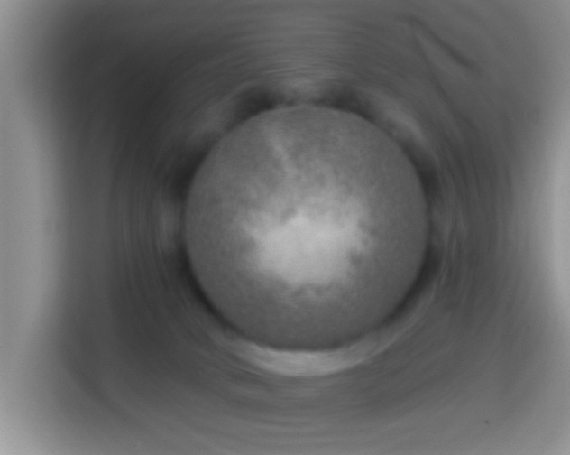 X0000113960034200910021534