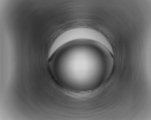 X0000113960035200910021534