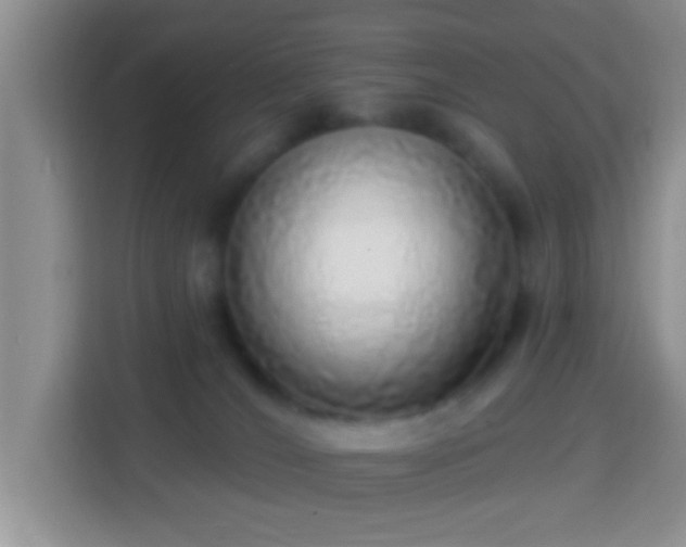 X0000113960036200910021534