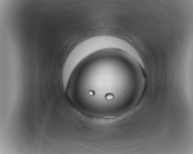 X0000113960037200910021534