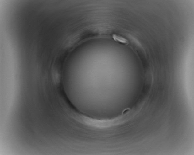 X0000113960039200910021534