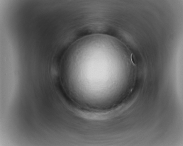 X0000113960040200910021534