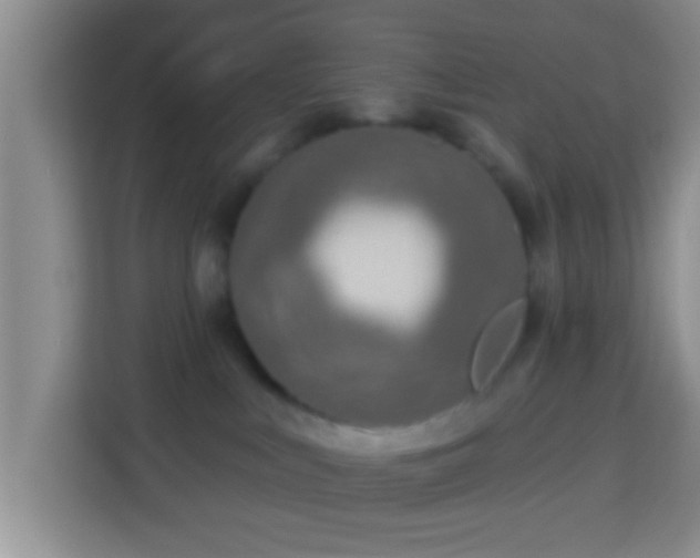 X0000113960043200910021534