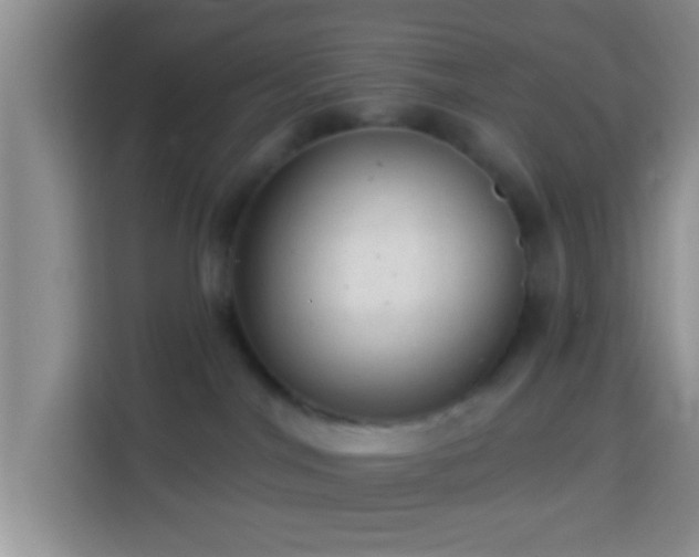 X0000113960044200910021534