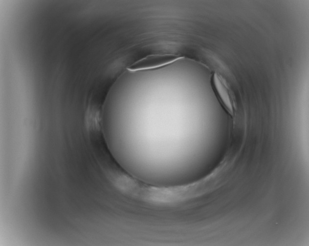 X0000113960045200910021534